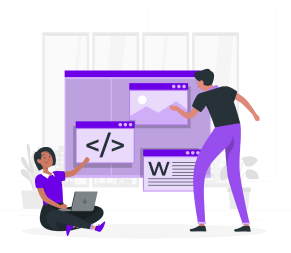 Custom Magento Development