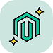 Expertise in Magento and AI-driven technologies