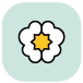 Natural Language Processing (NLP)