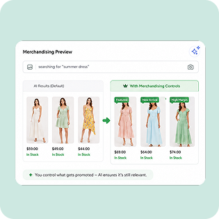 AI Merchandising Controls AI Merchandising Controls