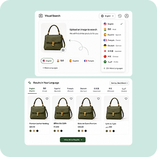 Multi-Language Visual Search Multi-Language Visual Search