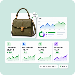 Visual Search Analytics Visual Search Analytics