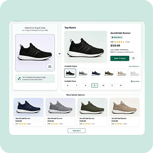 Visual Search (Optional)